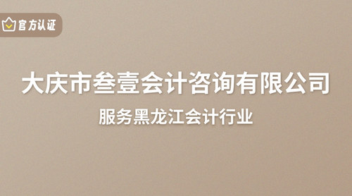 大庆市叁壹会计咨询有限公司.jpg